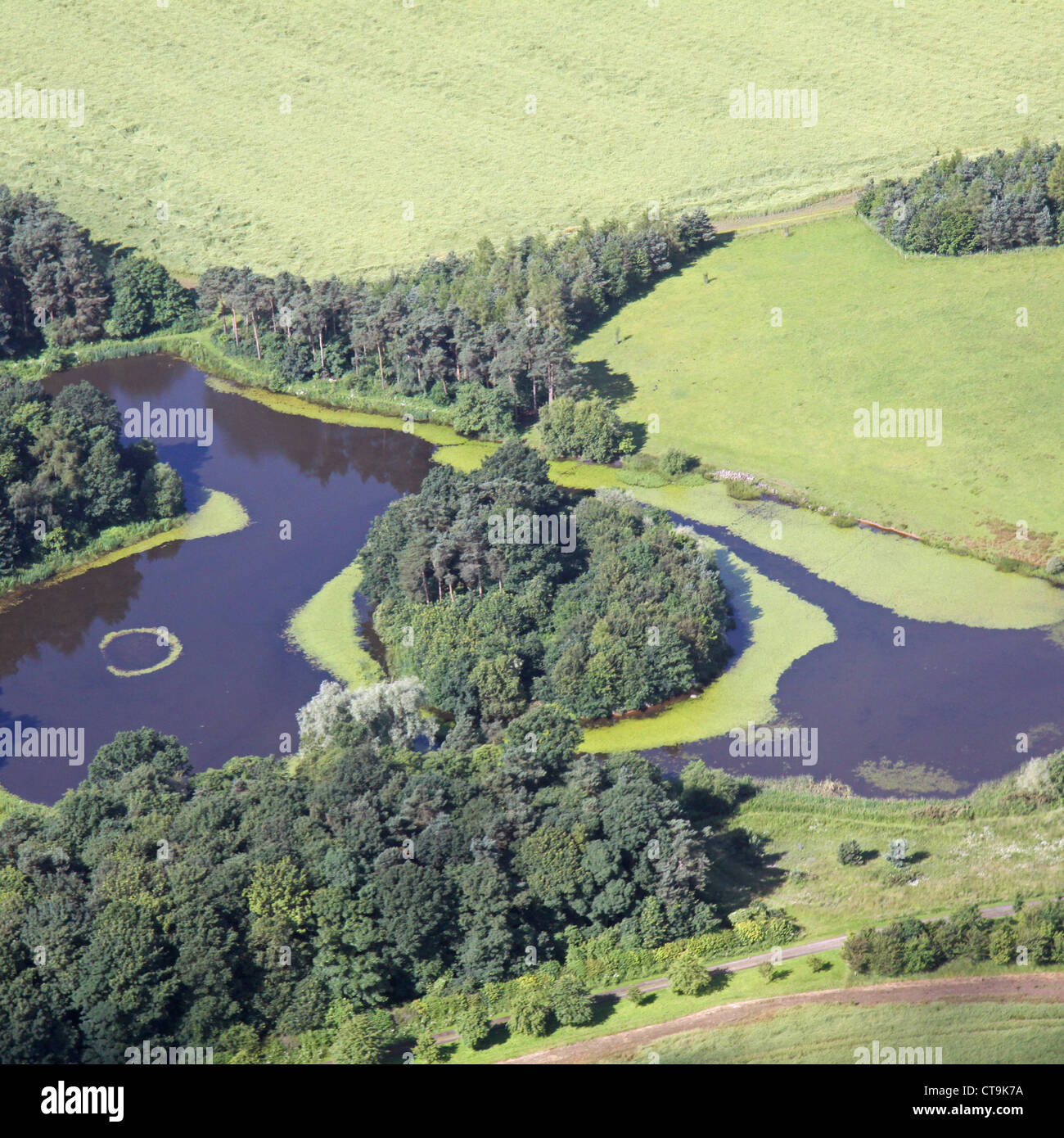 Vue aérienne d'une île au milieu d'un lac couverte d'arbres Banque D'Images