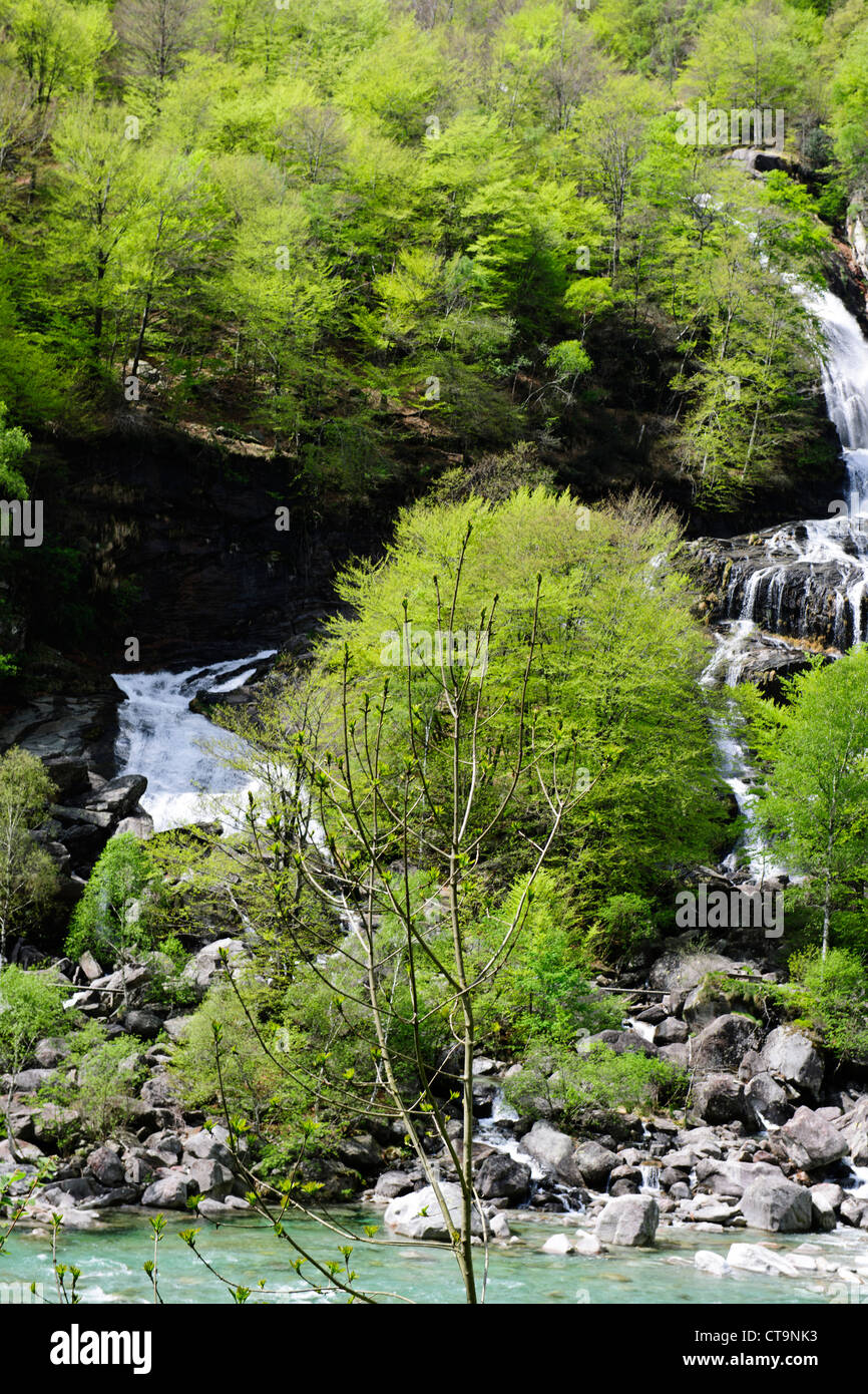 Clair comme de l'eau Canoë Canoë blanc,vert,naturel,les vallées de l'environnement, la vallée de la rivière Verzasca Tessin,Alpes,Suisse, Banque D'Images
