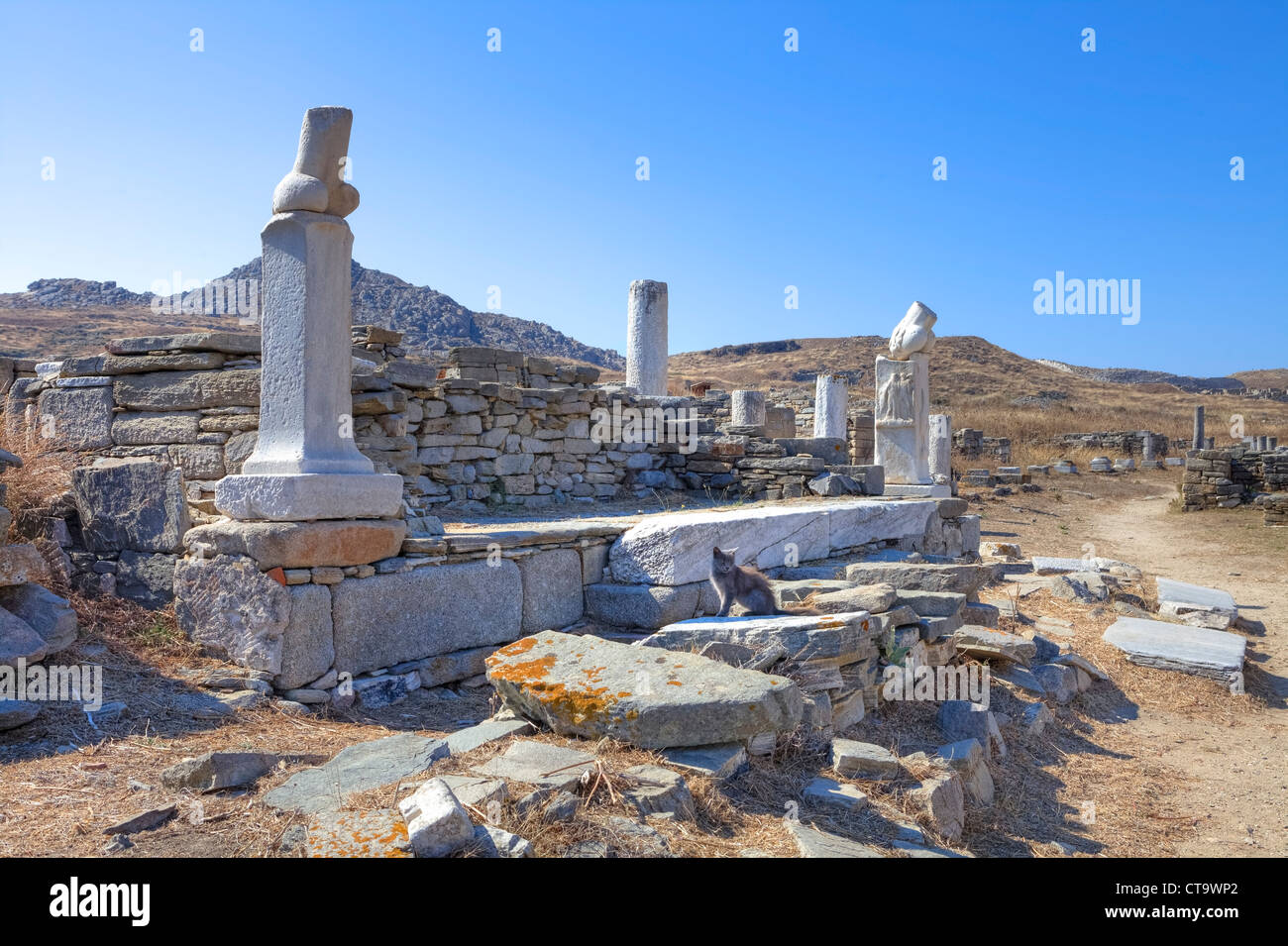 Le phallus sur Délos, Grèce Banque D'Images