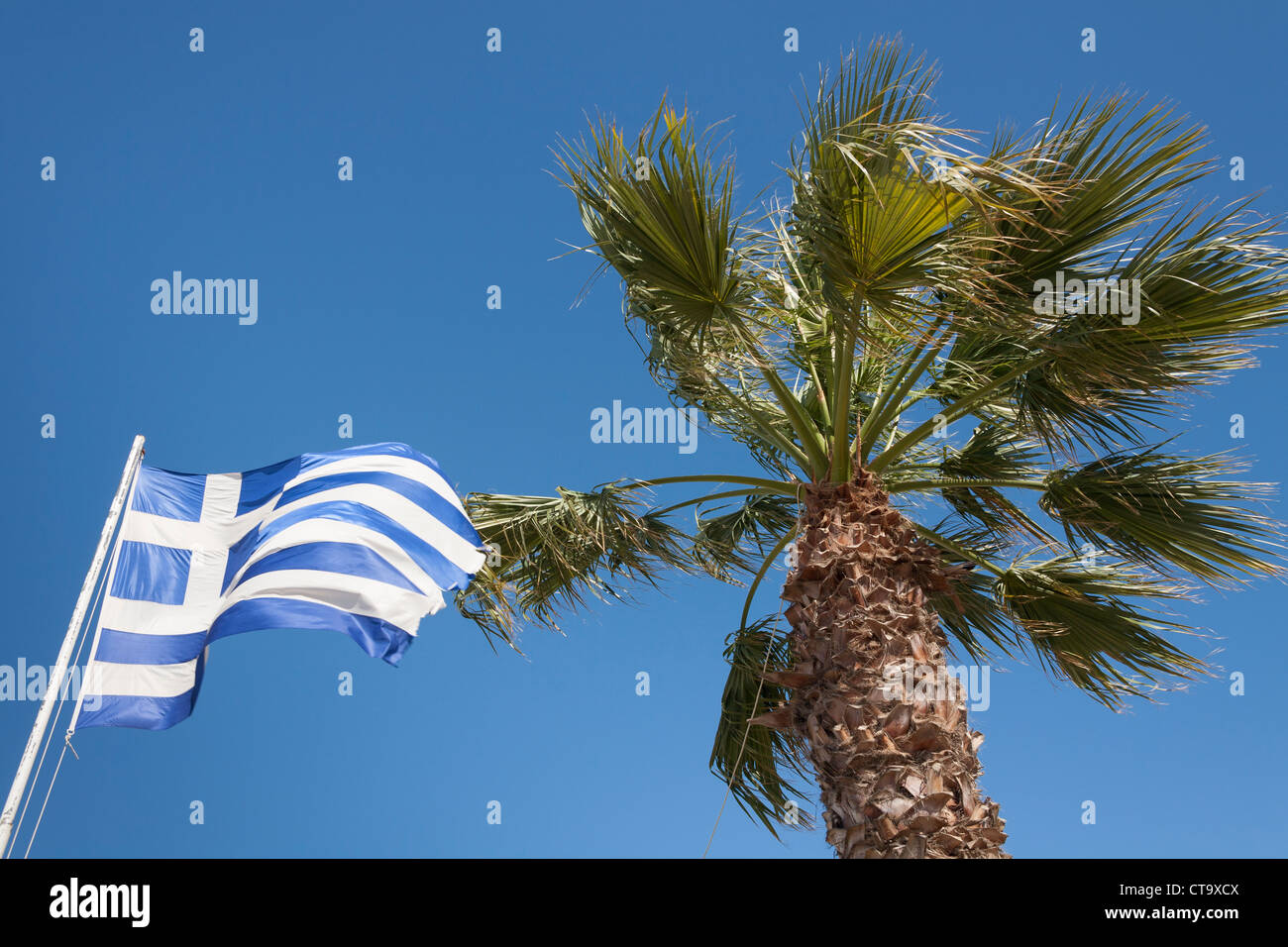 Drapeau grec et palmier, Katakolon, Grèce Banque D'Images