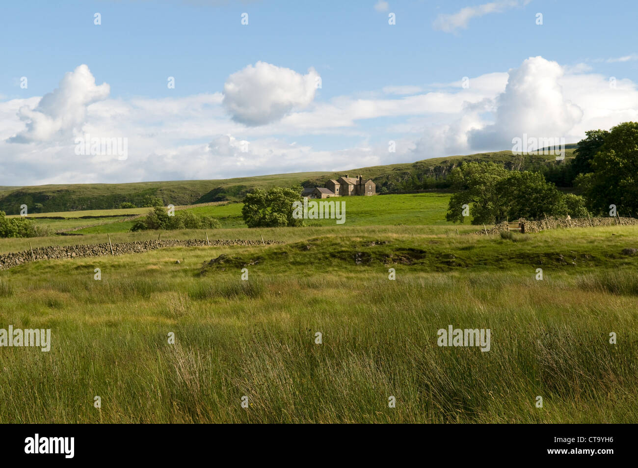 Campagne anglaise avec des nuages gonflés sous un ciel bleu Banque D'Images