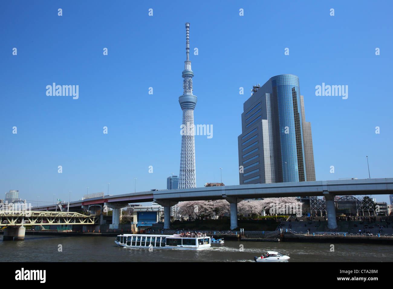 Tokyo sky tree, la tour de radio japonaise Banque D'Images