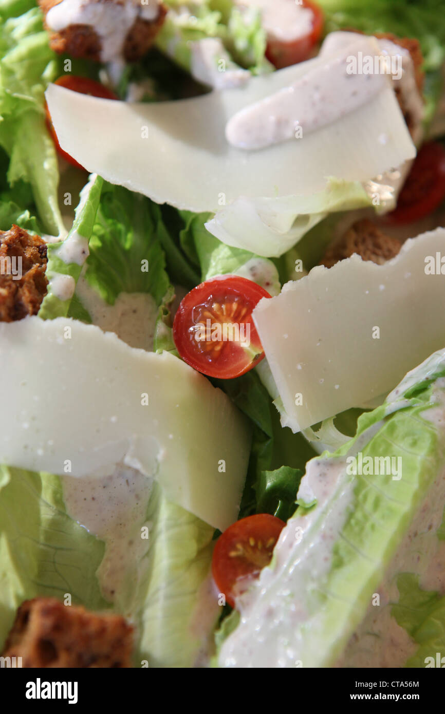 Frais à l'italienne salade verte avec croûtons de pain tomates et Parmesan Banque D'Images