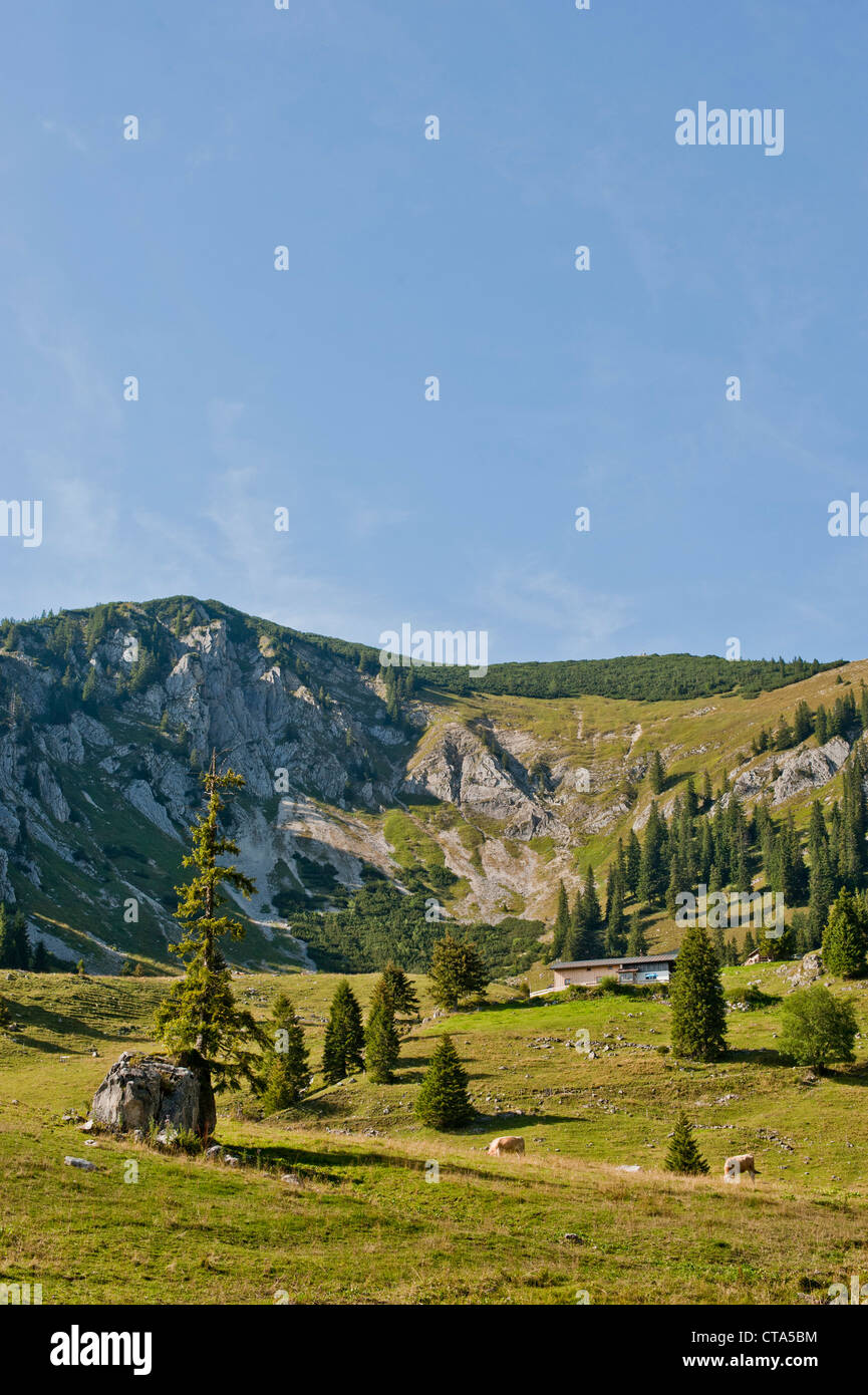 Cabane dans les montagnes, Mangfall, Spitzingsee Bavaria, Allemagne Banque D'Images