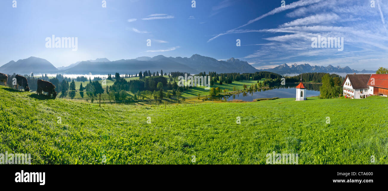 Vue de l'Hegratsried Saeuling, Tegelberg et sur les montagnes de l'Est, Tannheimer Allgaeu, Germany, Europe Banque D'Images