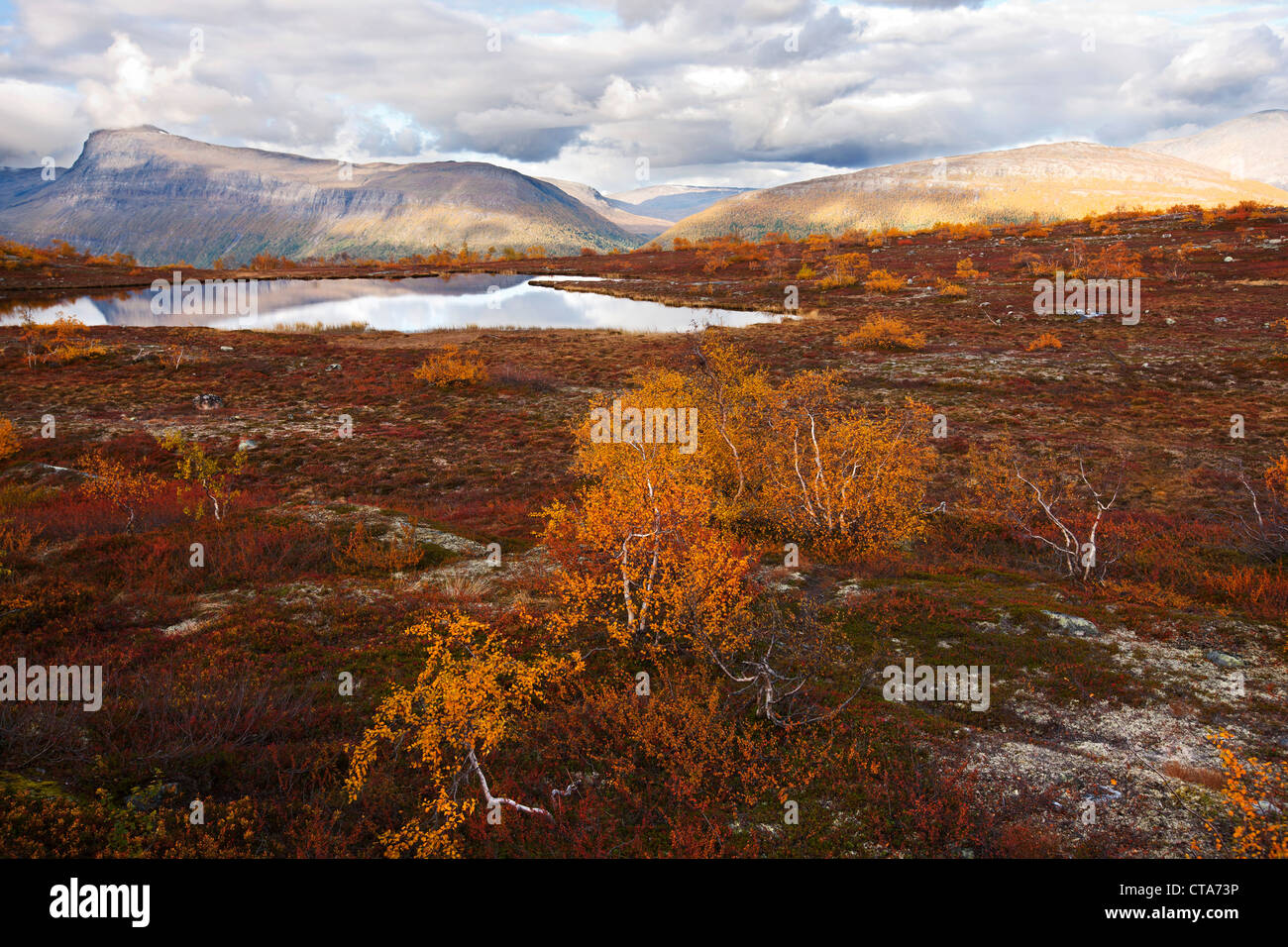 Paysage au nord du cercle arctique, la Saltdal, Junkerdalen parc national, trekking en automne, Fjell, Lonsdal, près de mo i Banque D'Images