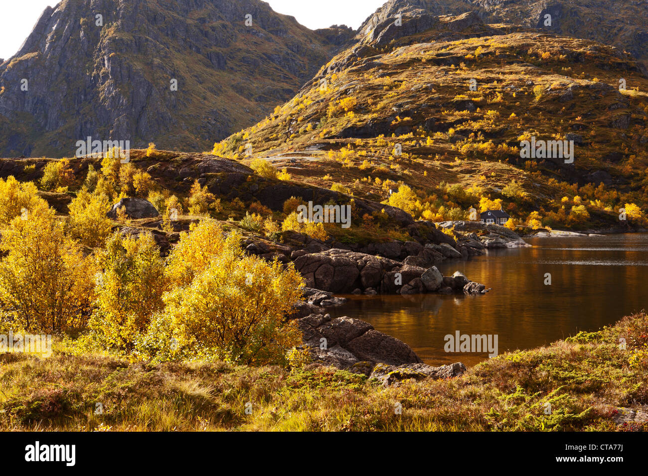 Paysage sur les îles Lofoten, lors d'un Automne, Moskenesoy, Nordland, Norvège, Scandinavie, Europe Banque D'Images
