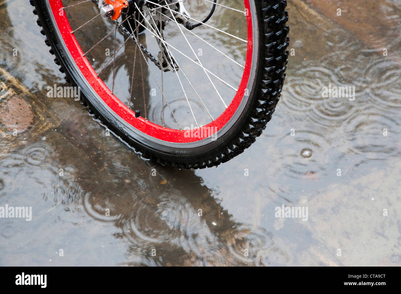 D'une roue de vélo dans une flaque d'eau de pluie Banque D'Images