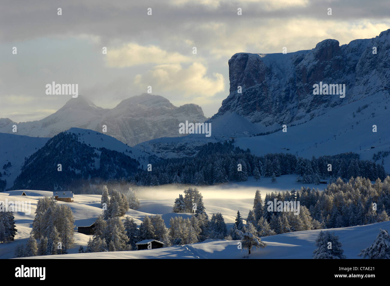 Dans la vallée de la brume matinale, Alpe di Siusi, Dolomites, Tyrol du Sud, Vénétie, Italie Banque D'Images