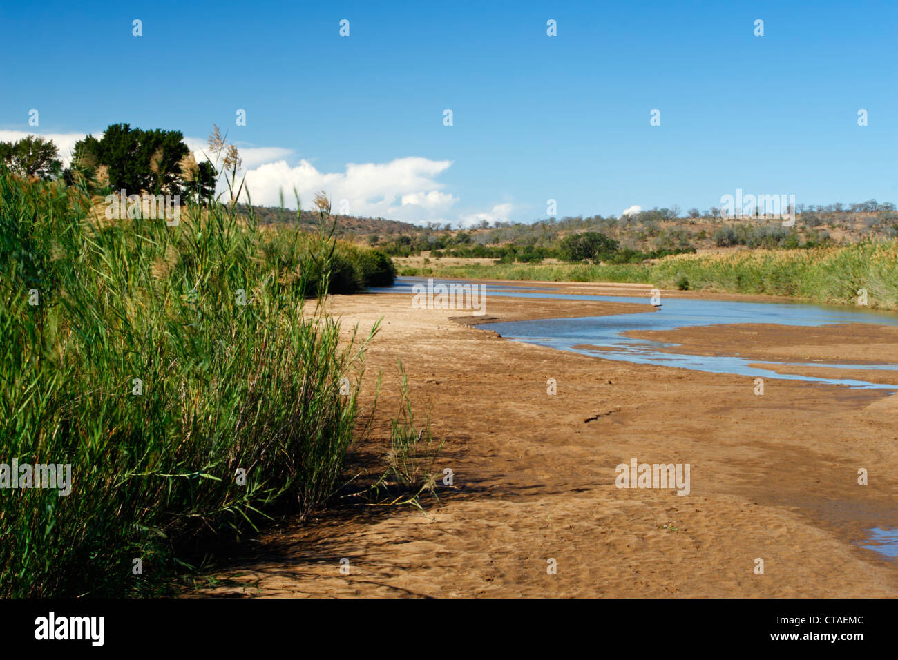 L'Umfolozi noire qui traverse la réserve Hluhluwe-Umfolozi à Kwazulu Natal, Afrique du Sud Banque D'Images