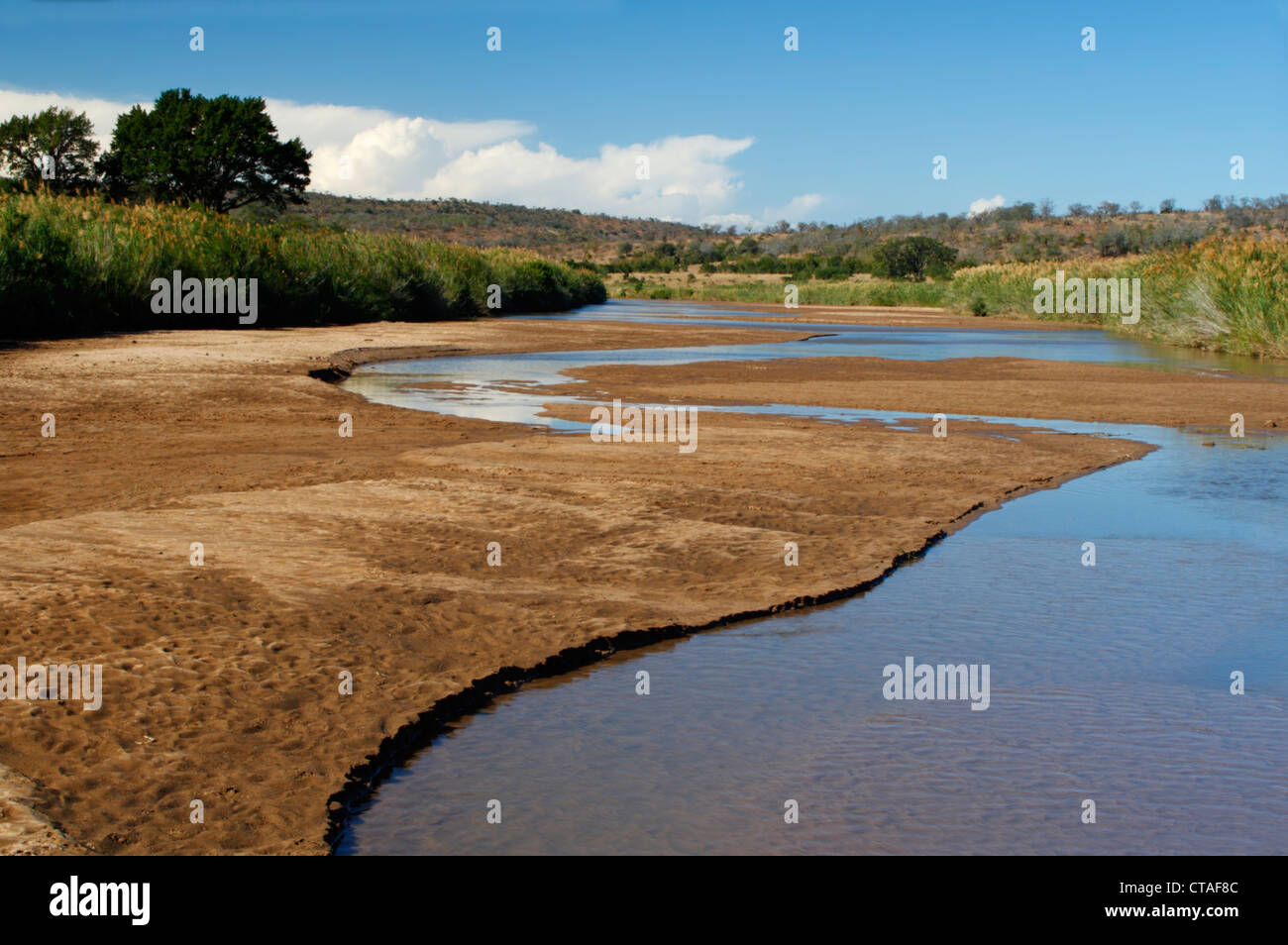 L'Umfolozi noire qui traverse la réserve Hluhluwe-Umfolozi à Kwazulu Natal, Afrique du Sud Banque D'Images