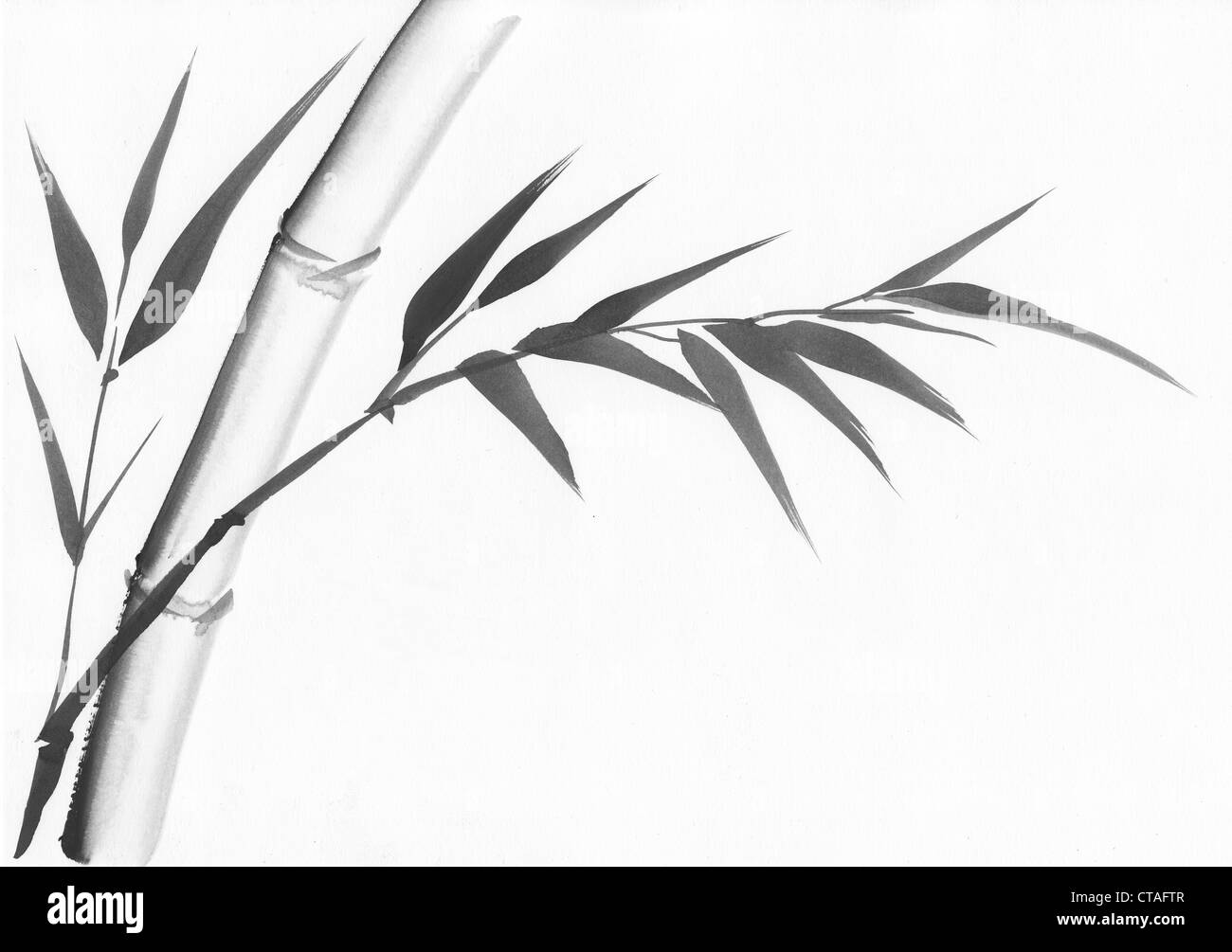 L'art d'origine, de l'aquarelle de bambou, la peinture de style asiatique Banque D'Images