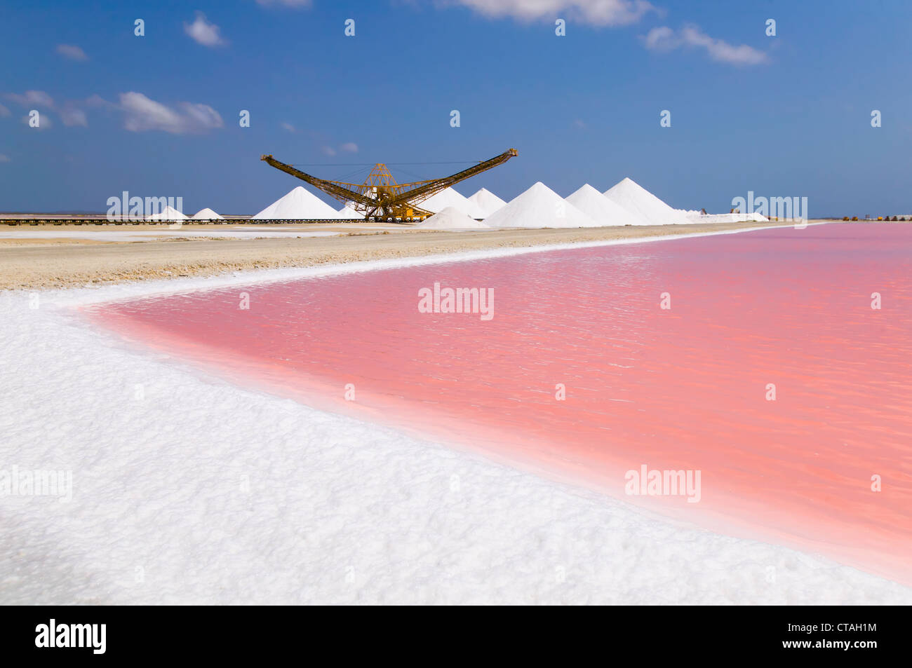 Installation d'évaporation de sel dans Bonaire Banque D'Images