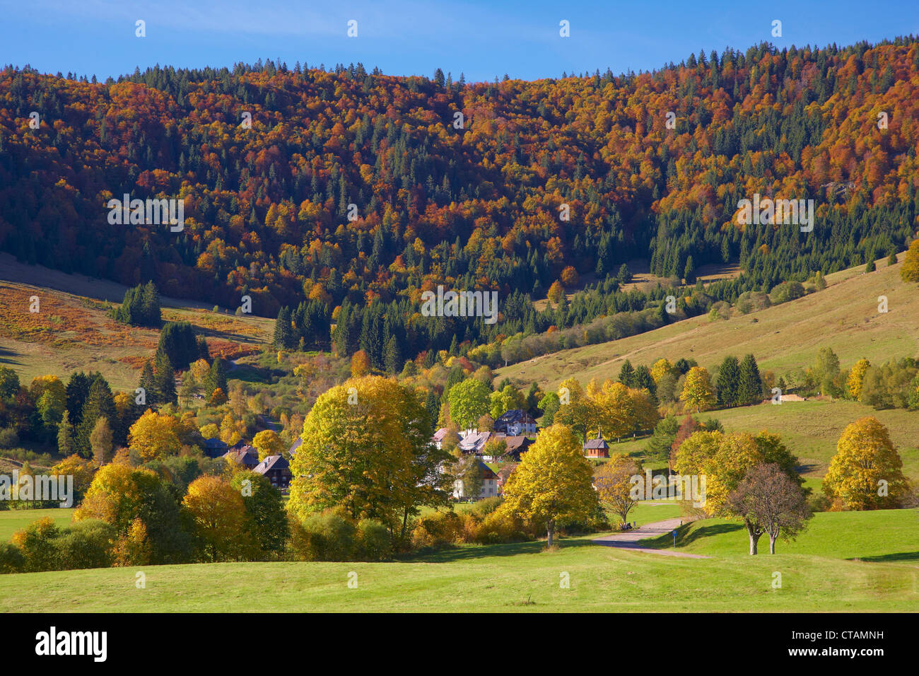 Bernau Hof en automne, partie sud de la Forêt Noire, Forêt Noire, Bade-Wurtemberg, Allemagne, Europe Banque D'Images