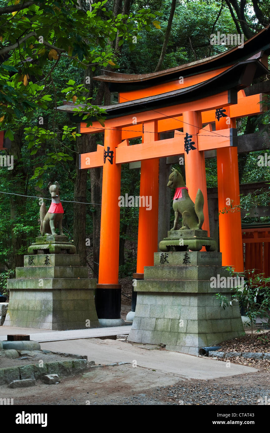Une porte de torii sacrée à Fushimi Inari-taisha, Kyoto, japon, le principal sanctuaire d'Inari, kami (dieu) du riz, de l'agriculture, de la fertilité et des renards Banque D'Images