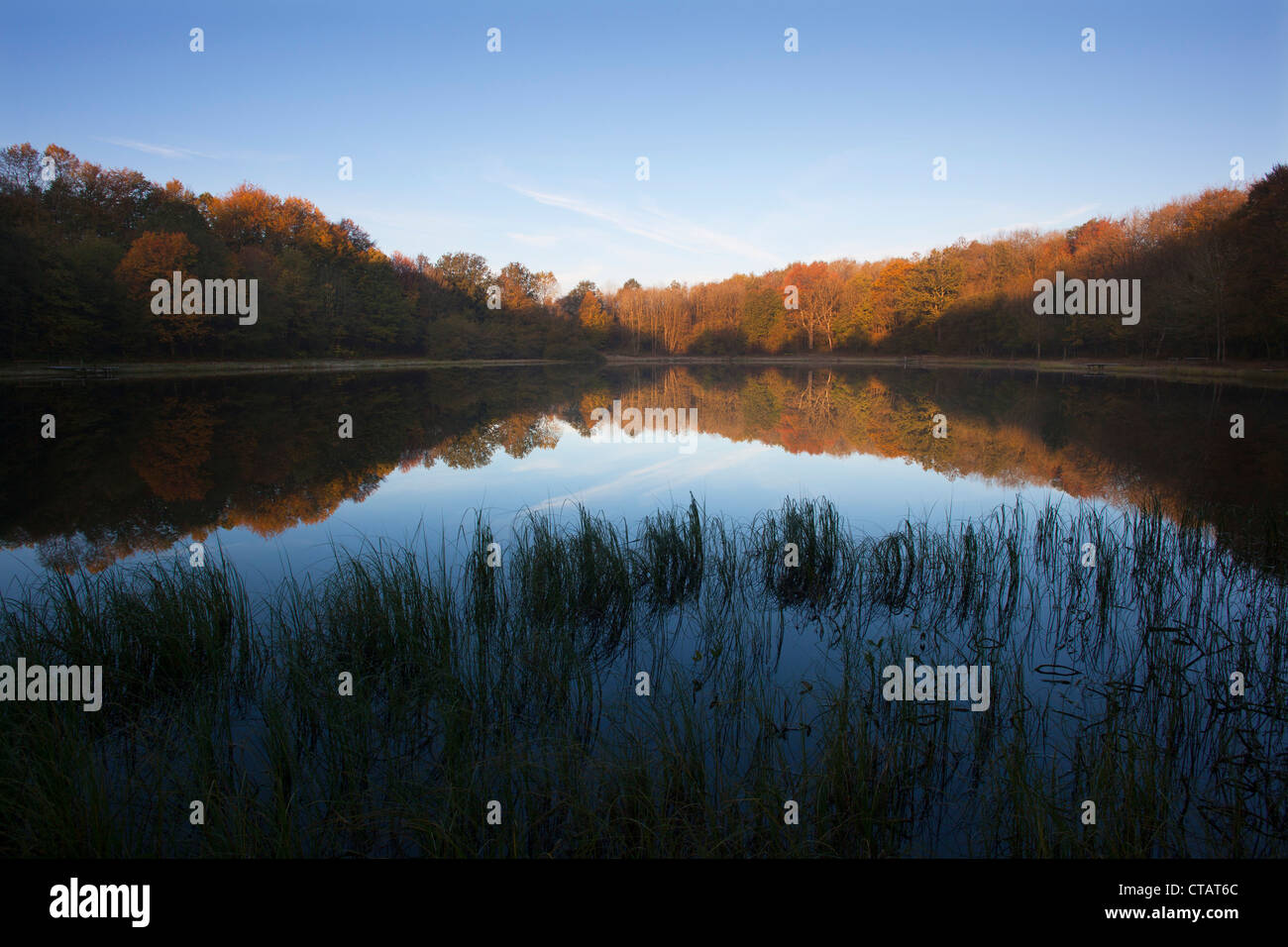 Mosenmaar, lac de cratère sur Mosenberg hill, à Speicher (de), près de Daun, Eifel, Rhénanie-Palatinat, Allemagne, Europe Banque D'Images