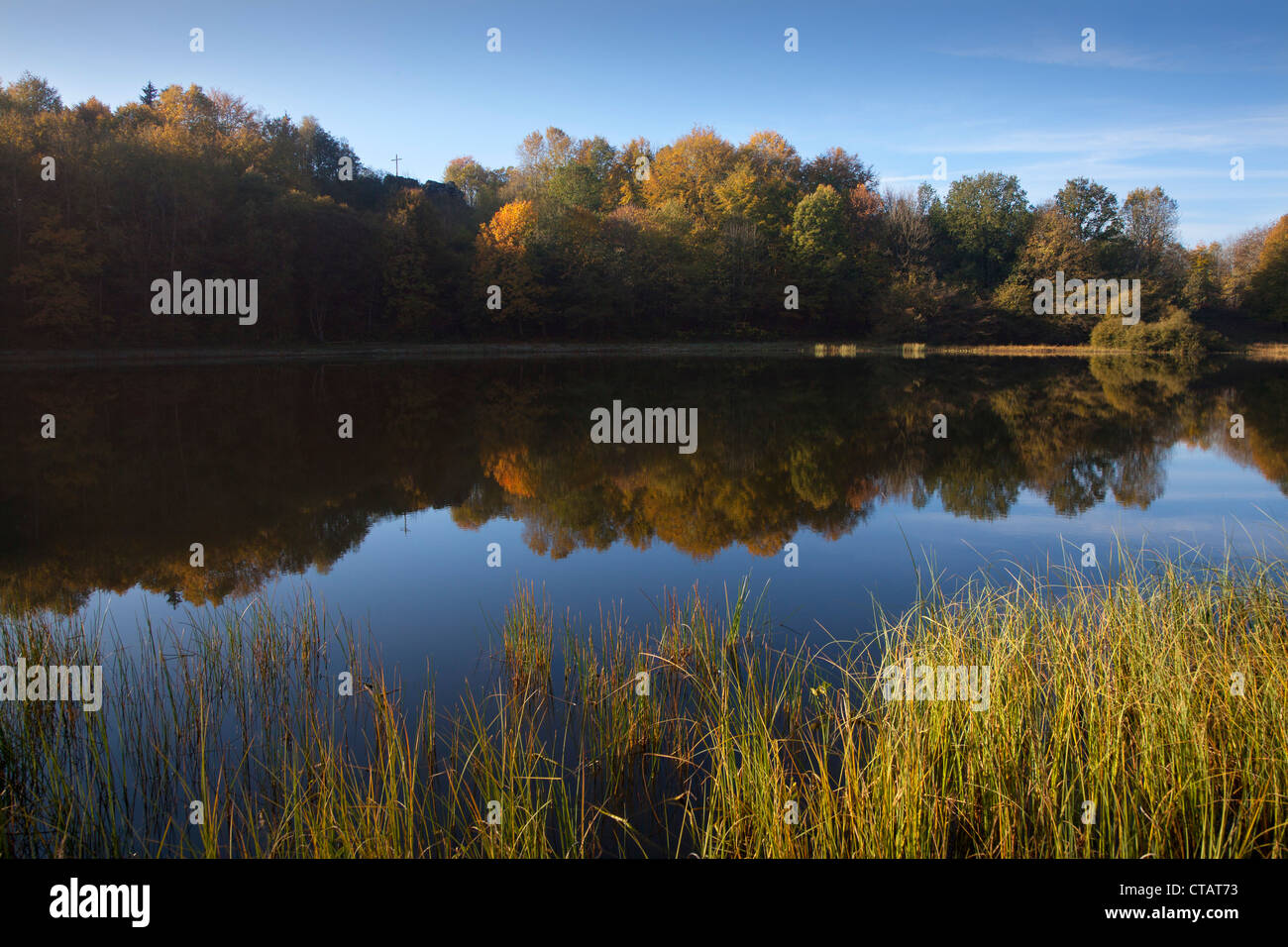 Réflexion sur Mosenmaar, lac de cratère sur Mosenberg hill, à Speicher (de), près de Daun, Eifel, Rhénanie-Palatinat, Allemagne, Europe Banque D'Images