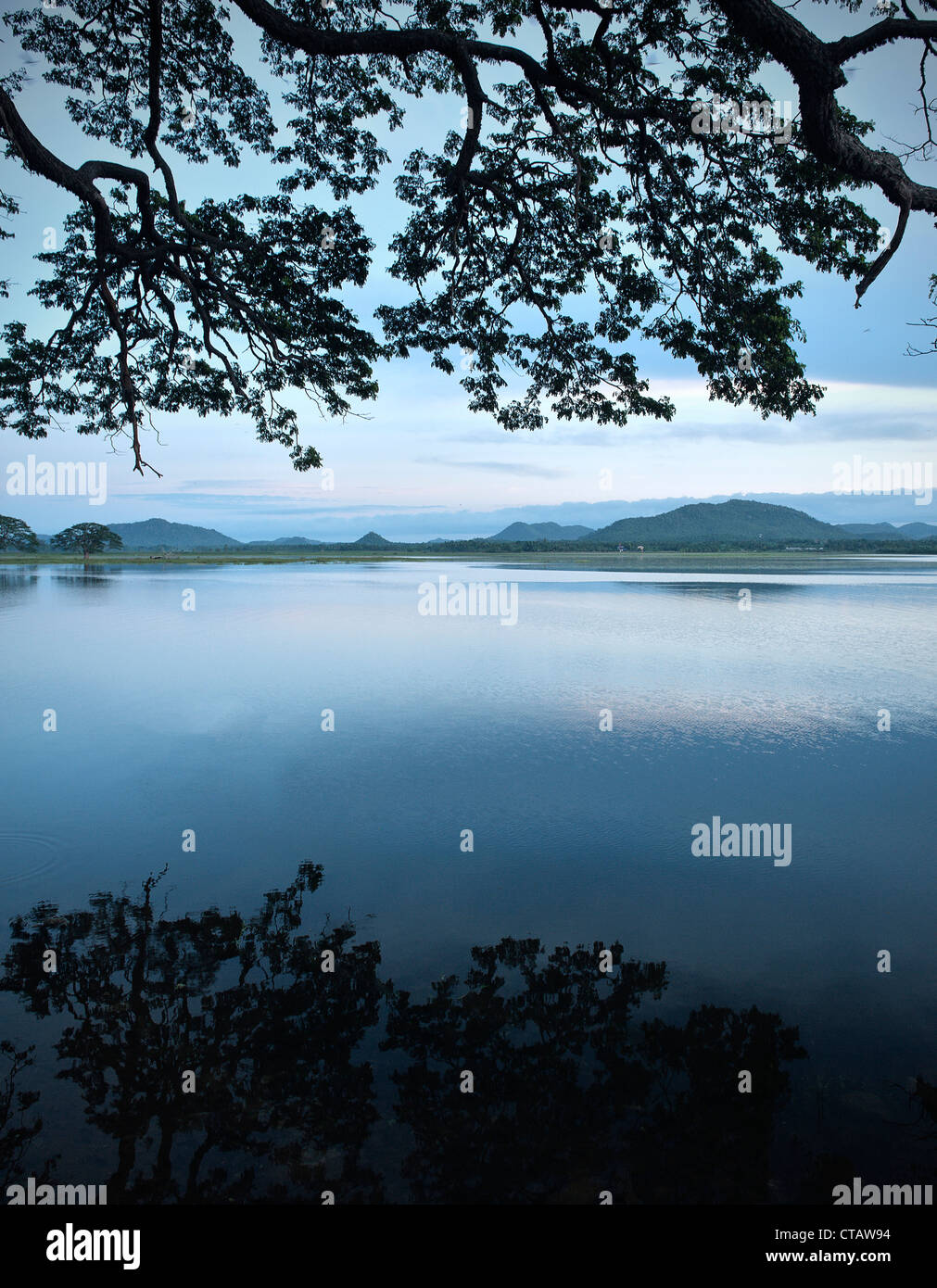 Lac artificiel Tissa-le matin, Tissamaharama, autour de parc national de Yala, au Sri Lanka Banque D'Images