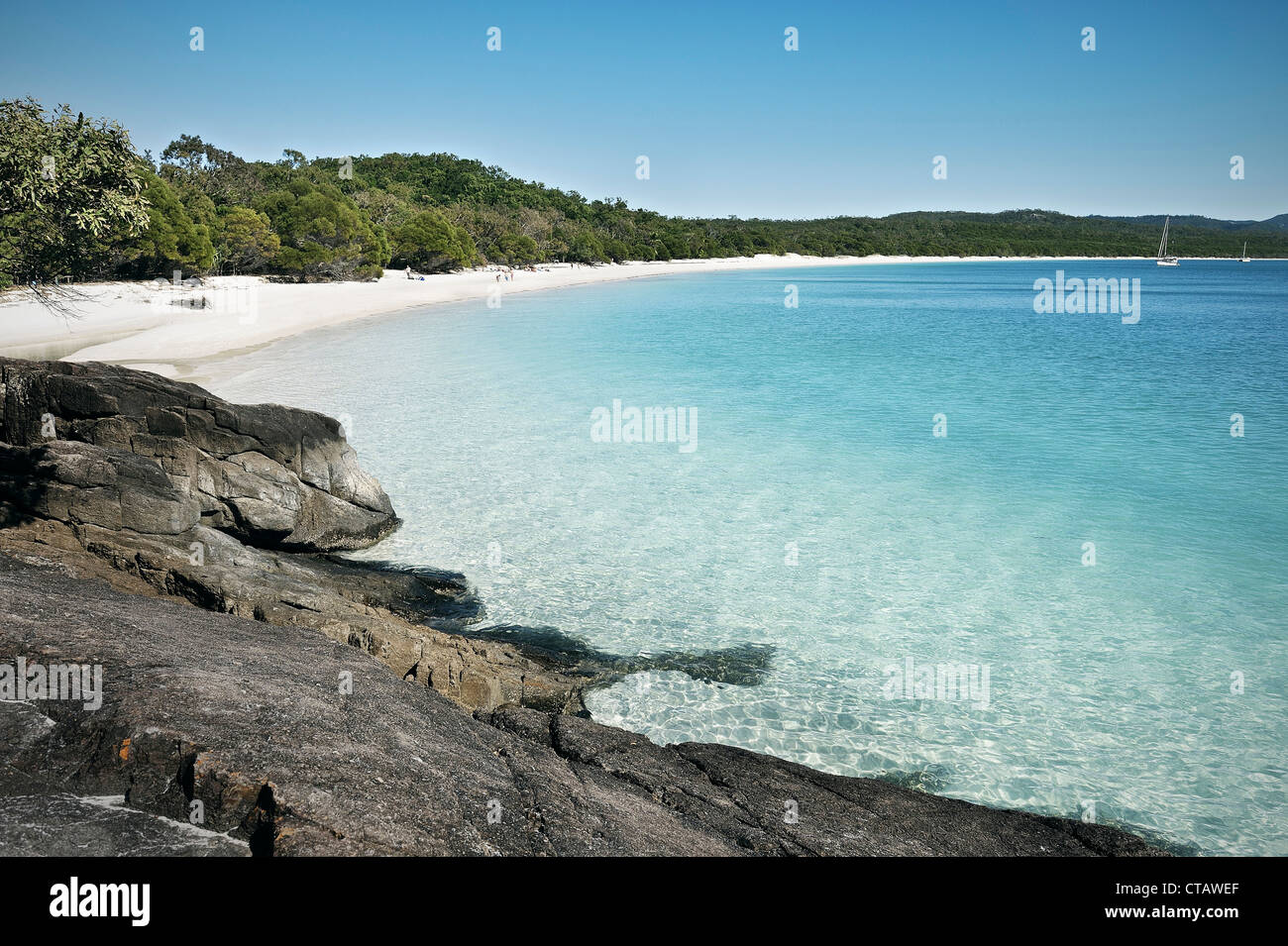 Cristal de l'eau claire, Whitehaven Beach, Whitsunday Islands, Pacifique Sud, Queensland, Australie Banque D'Images
