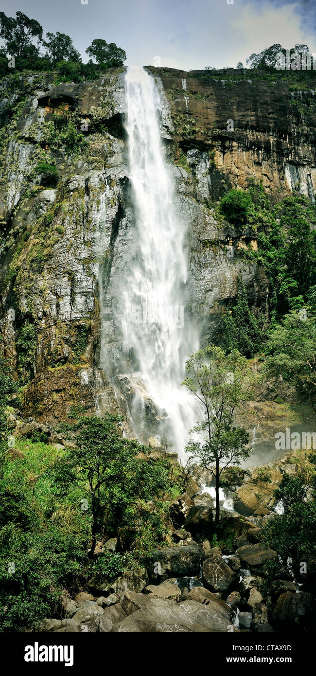 Diyaluma Falls, Haputale Wellawaya, Hill Country, Sri Lanka Banque D'Images