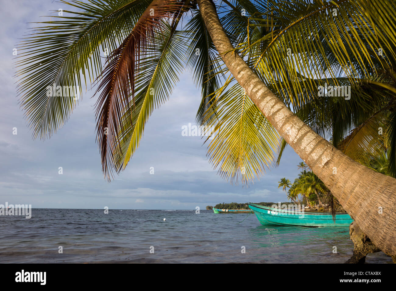 Des bateaux de pêche à Boca del Drago sur l'Île de Colon, Bocas del Toro, PANAMA. Banque D'Images