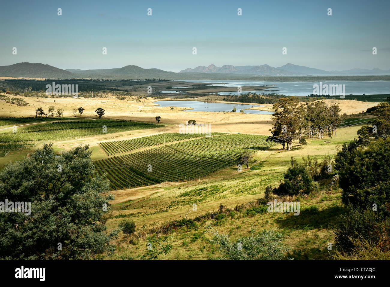 Vignoble et à la côte est, vue vers le parc national de Freycinet, Tasmanie, Australie Banque D'Images