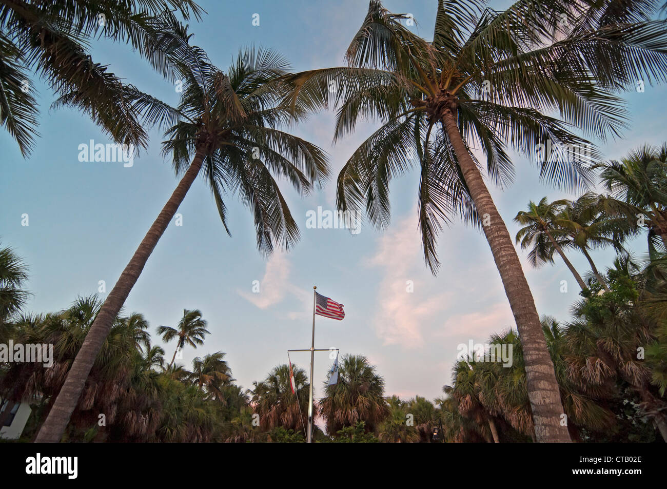 Hauteur des cocotiers et drapeau américain contre un ciel de coucher du soleil à la Floride Naples Pier le long du golfe du Mexique. Banque D'Images Hauteur des cocotiers et drapeau américain contre un ciel de coucher du soleil à la Floride Naples Pier le long du golfe du Mexique. Banque D'Images