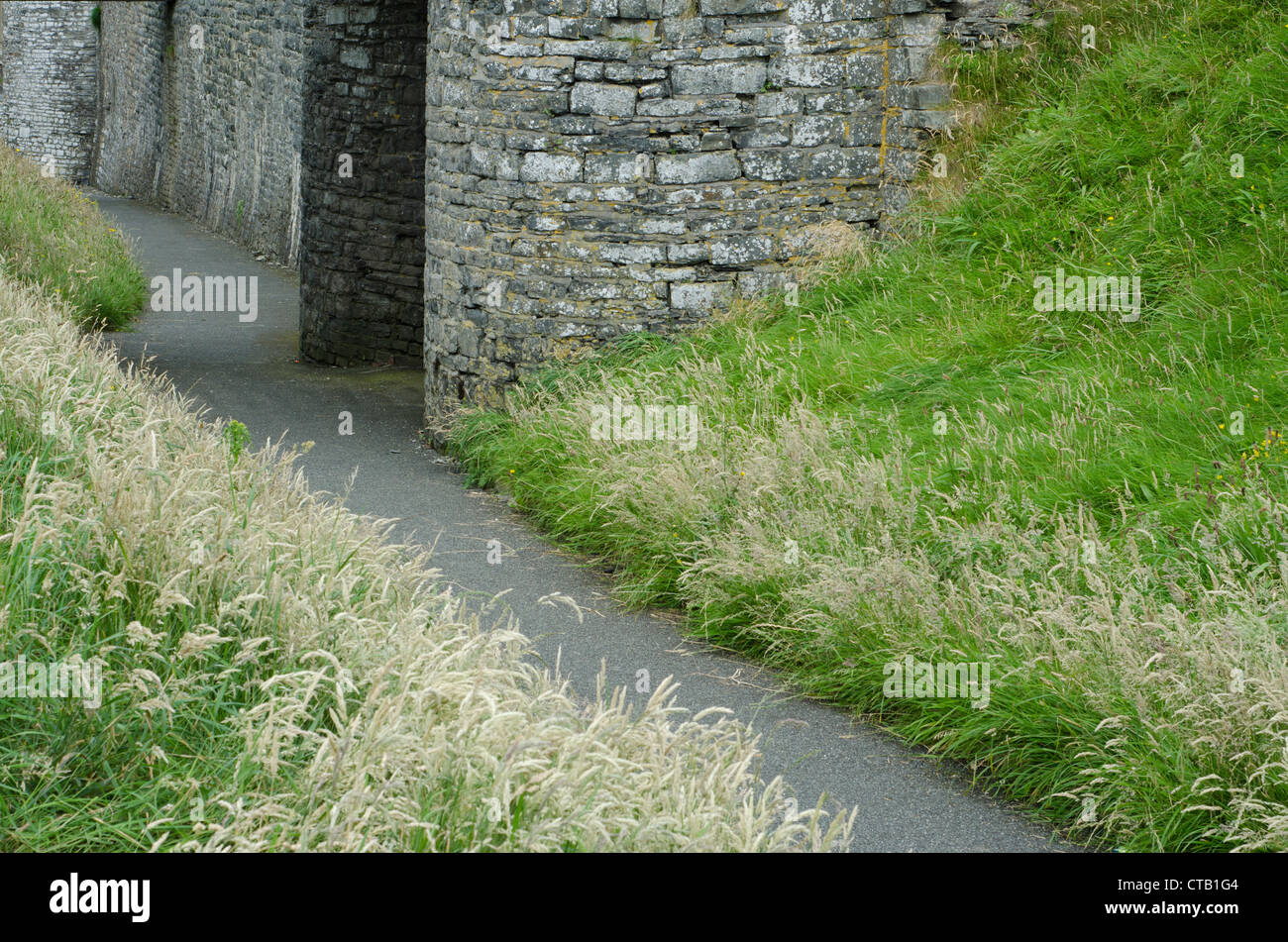 Un chemin bordé d'herbe mène dans le parc d'un château de la côte du Pays de Galles. Banque D'Images