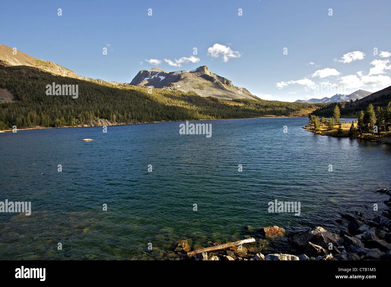 Lac dans le Tioga Pass, Yosemite National Park, California, USA Photo Stock  - Alamy