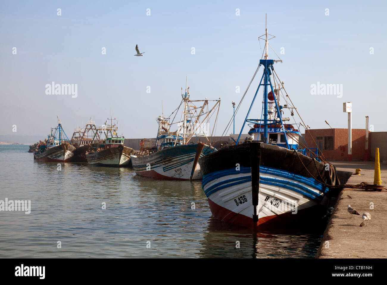 Chalutiers amarrés au port d'Essaouira, Maroc Sud Banque D'Images