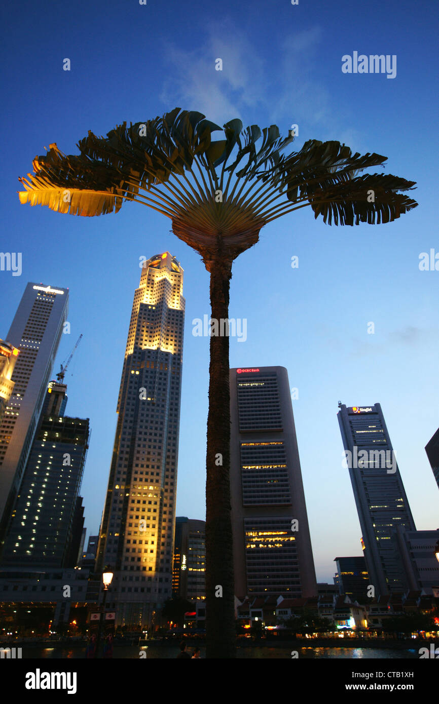 Palmier en face de Singapour dans la soirée, de la rivière Singapour, Singapour, l'Asie Banque D'Images