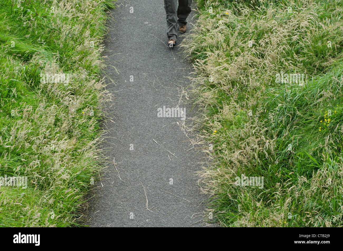Un ariel vue d'une personne marchant sur les jambes entre les herbes de l'été. Banque D'Images