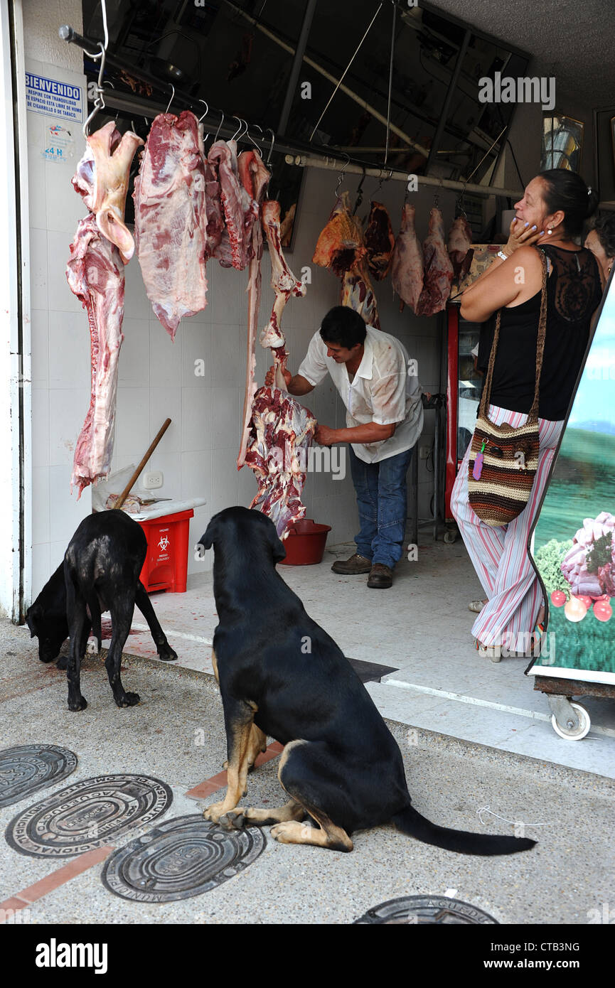 Deux chiens attendent devant une boucherie à Silvania village, la Colombie, l'Amérique du Sud. Banque D'Images