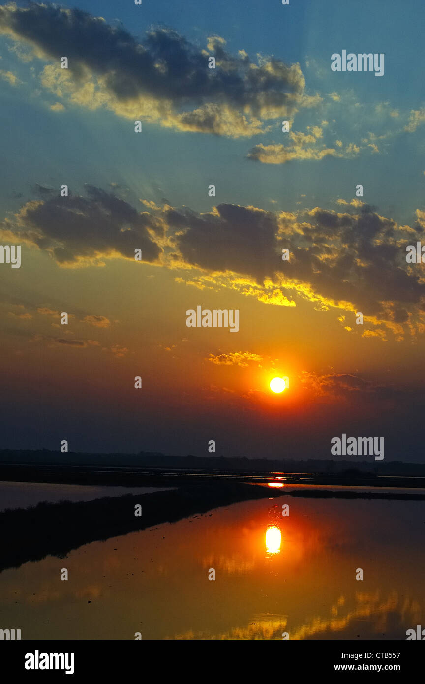 Lever du soleil dans un marais, ciel nuageux, orientation verticale Banque D'Images