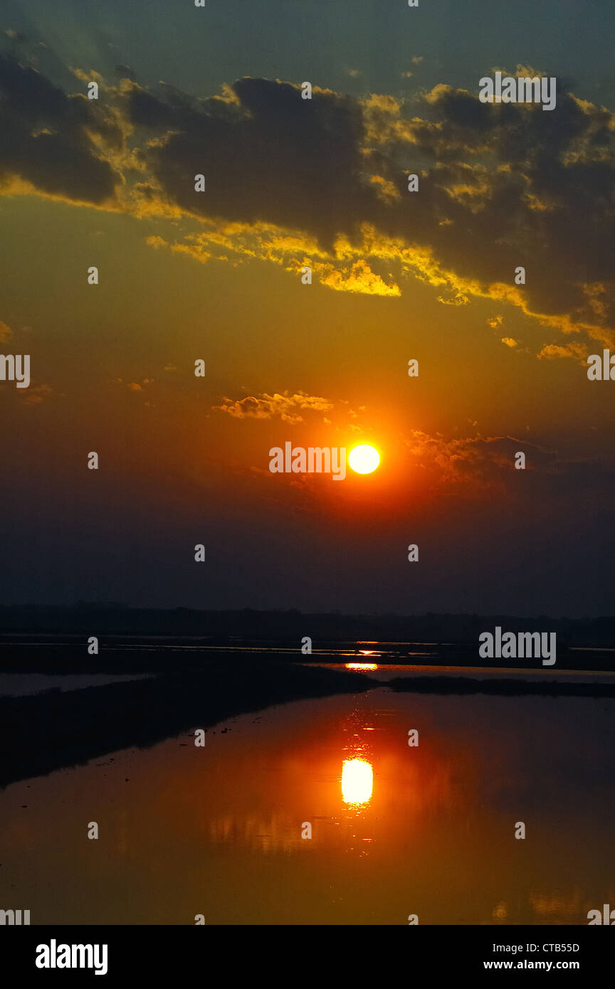 Lever du soleil dans un marais, ciel nuageux, orientation verticale Banque D'Images