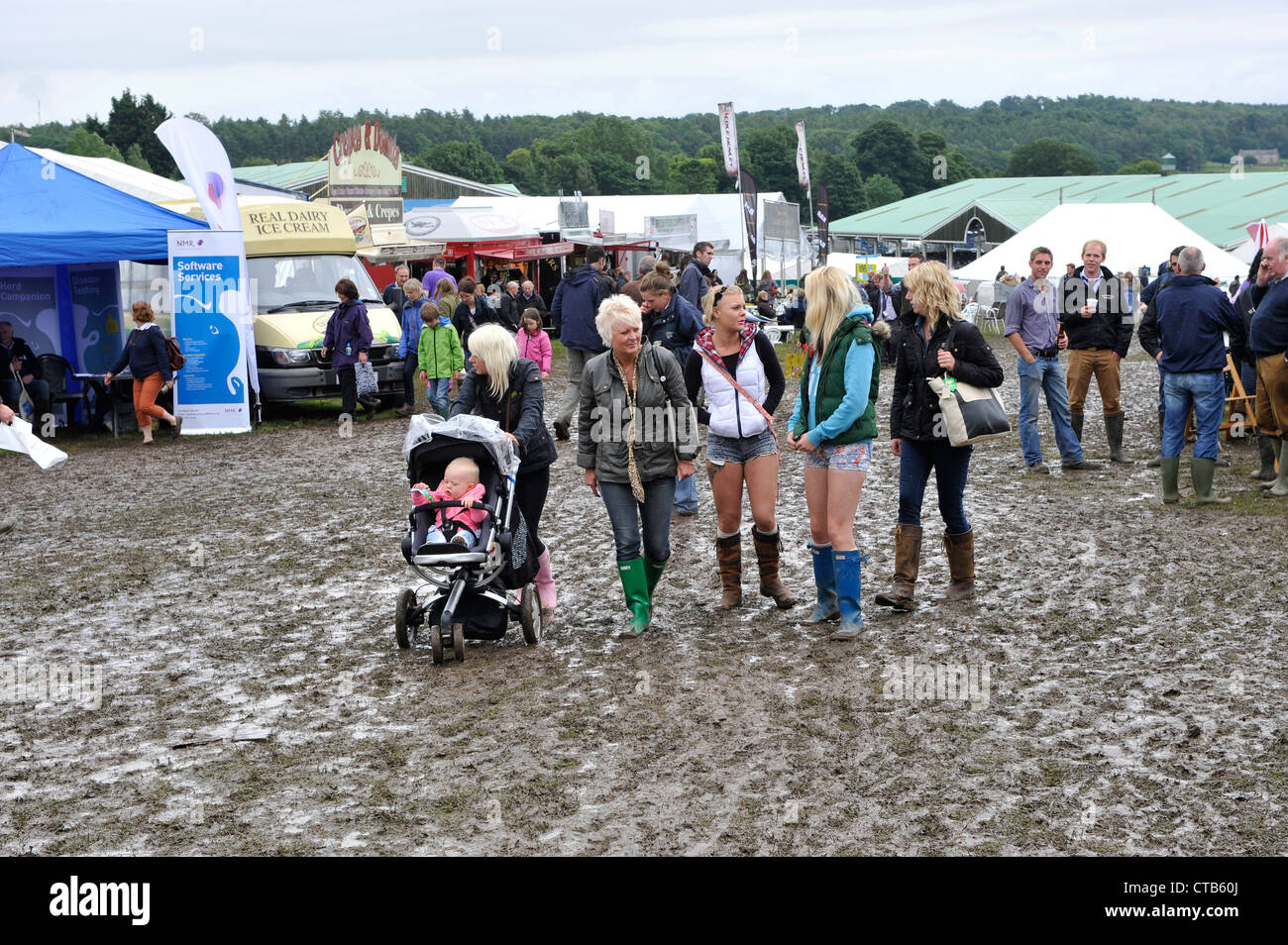 Bourbeux au Great Yorkshire Show 2012 Banque D'Images
