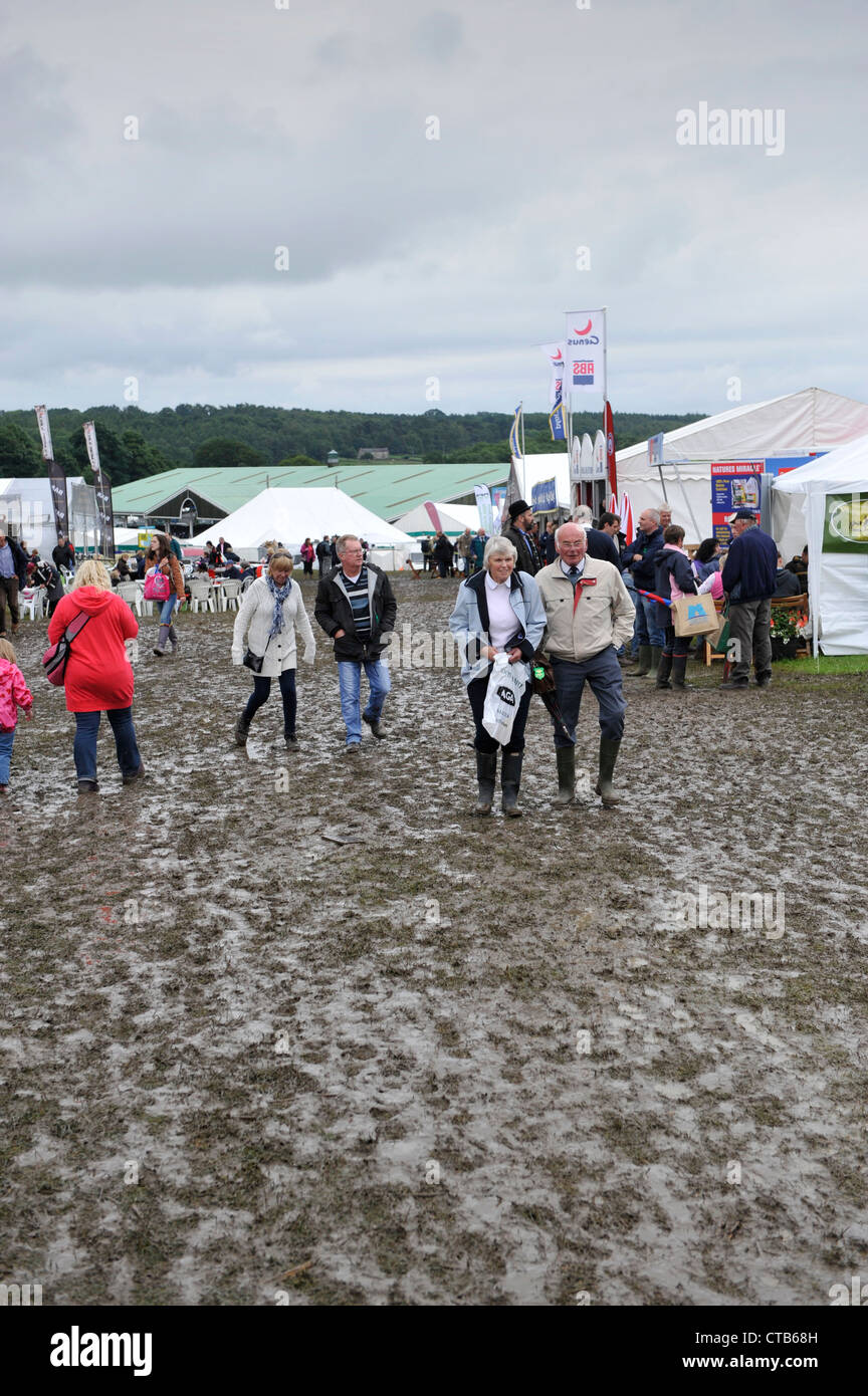 Bourbeux au Great Yorkshire Show 2012 Banque D'Images