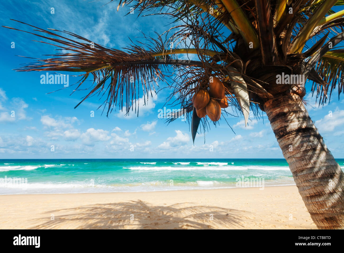 Plage paysage tropical Banque D'Images Plage paysage tropical Banque D'Images
