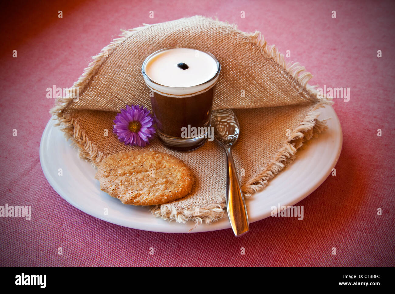 La mousse au chocolat : un célèbre dessert crémeux Banque D'Images