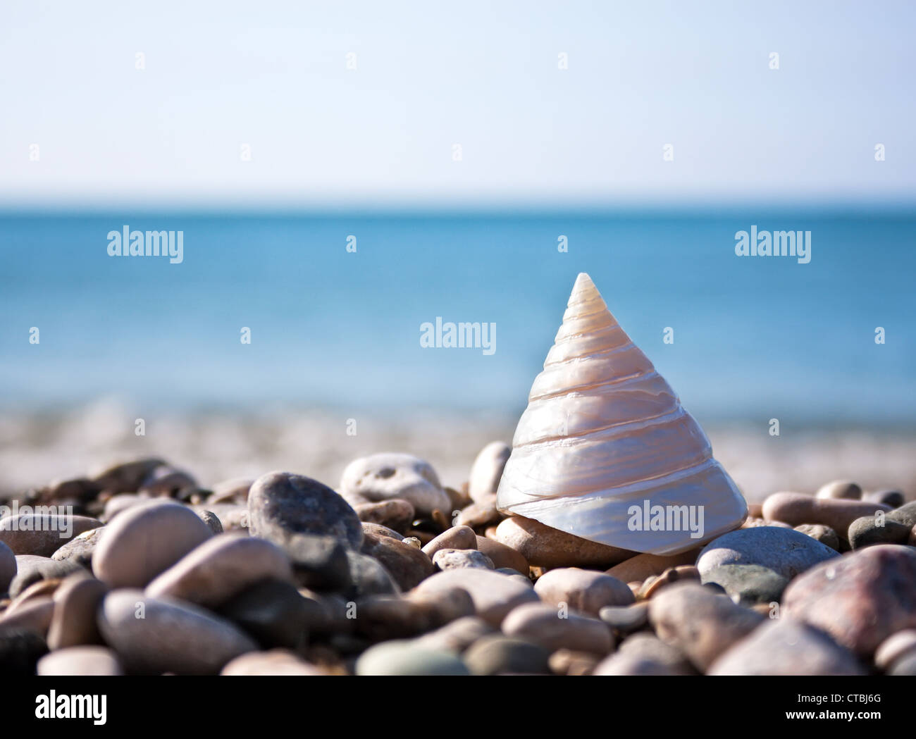 Sea shell avec vue sur la mer et le ciel bleu sur l'arrière-plan Banque D'Images
