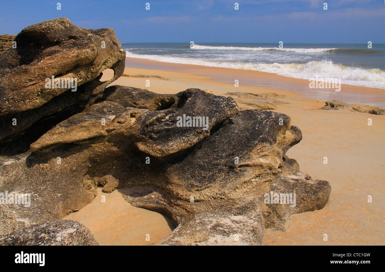 COQUINA ROCKS, WASHINGTON OAKS GARDENS STATE PARK, Palm Coast, en Floride, USA Banque D'Images