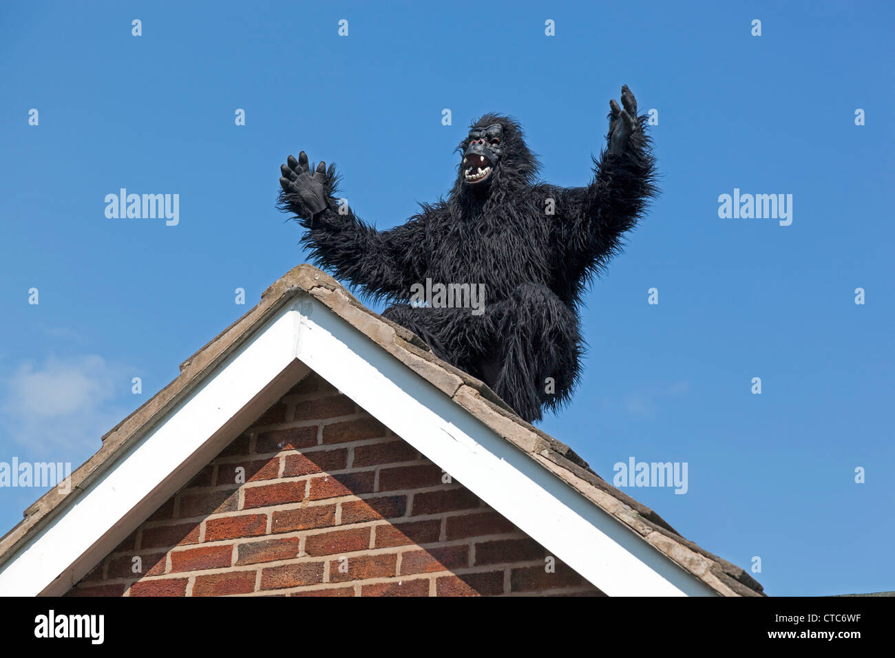 L'homme en costume de gorille sur un toit. toit. Banque D'Images