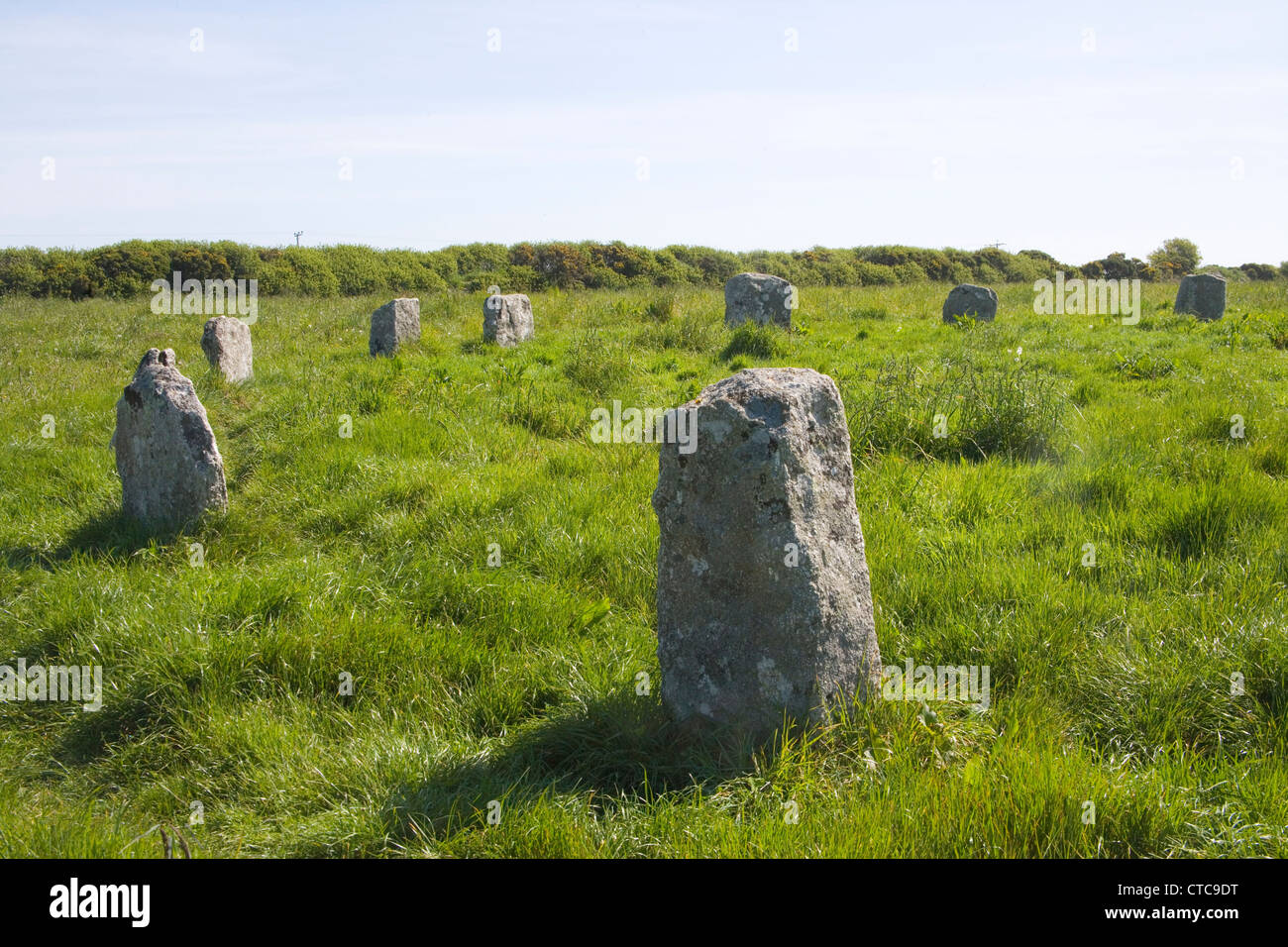 Le cercle de pierres anciennes cornish de 19 pierres appelé le Merry Maidens près de St Buryan et Penwith Banque D'Images