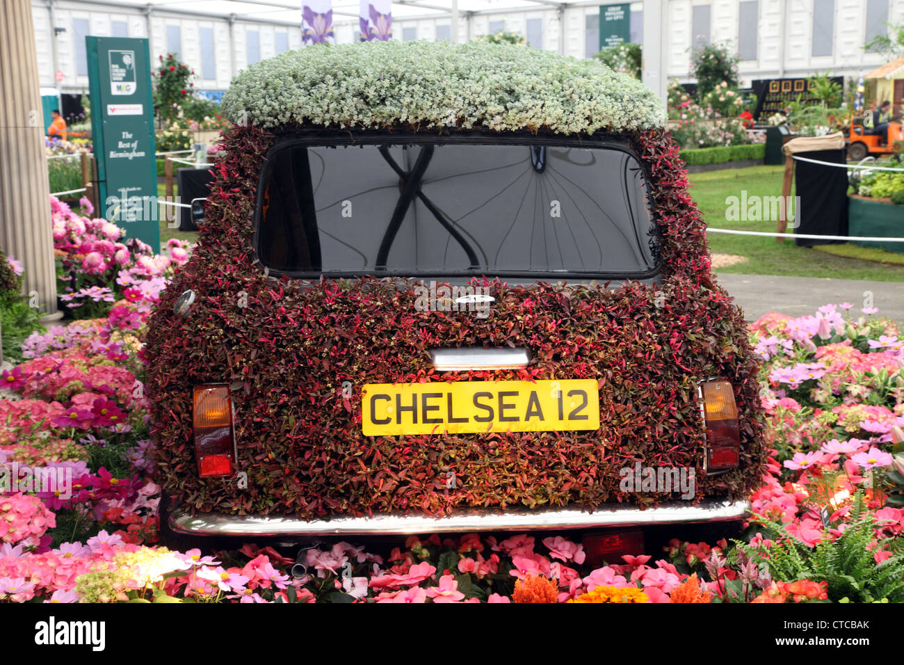 Mini dans Best of Birmingham, Chelsea Flower Show 2012 Banque D'Images