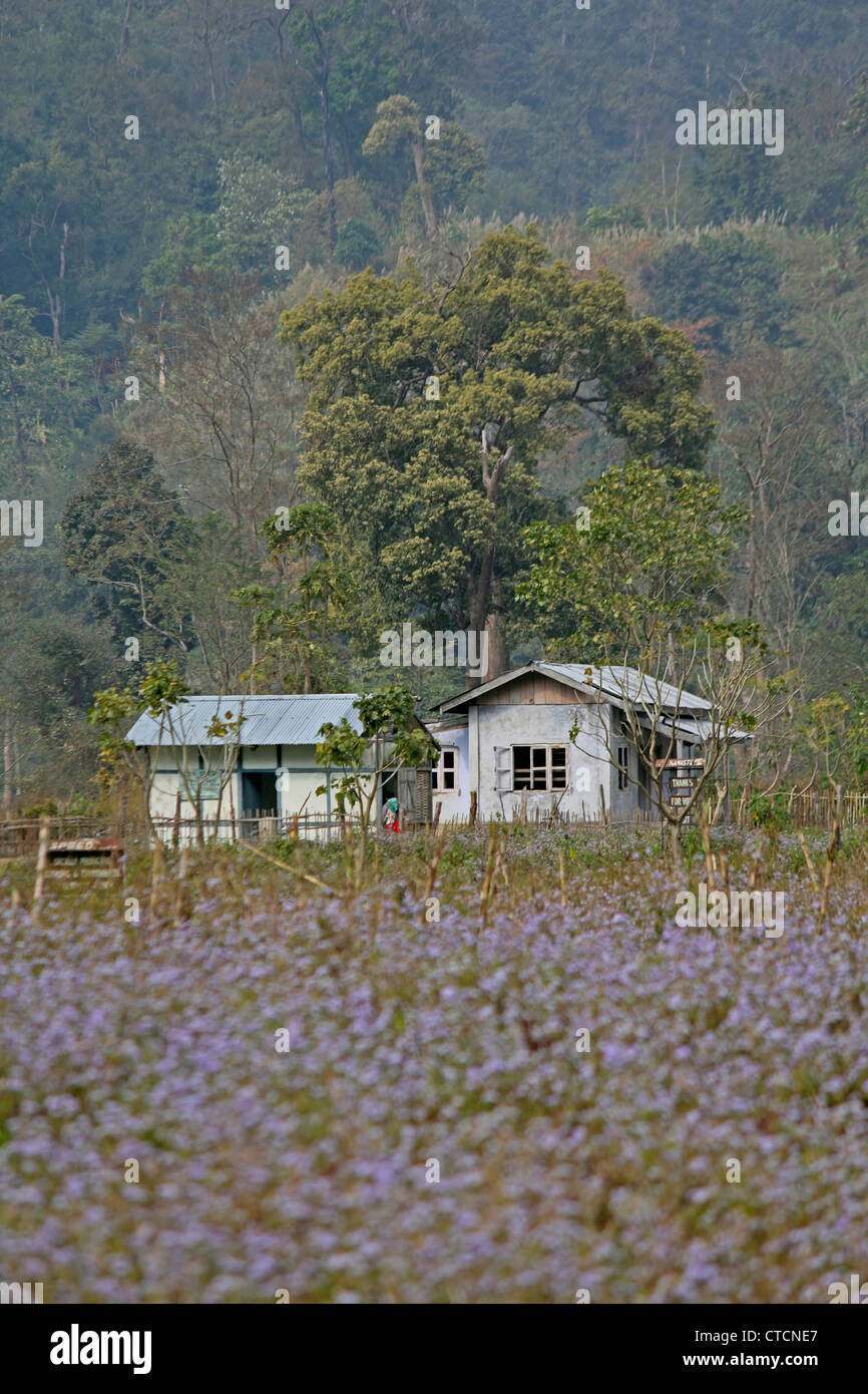Forest Rest House, Deban, Namdapha National Park, de l'Arunachal Pradesh, Inde Banque D'Images Forest Rest House, Deban, Namdapha National Park, de l'Arunachal Pradesh, Inde Banque D'Images
