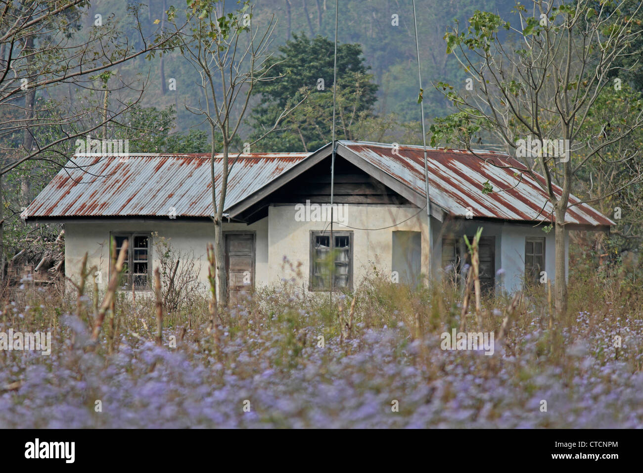 Forest Rest House, Deban, Namdapha National Park, de l'Arunachal Pradesh, Inde Banque D'Images Forest Rest House, Deban, Namdapha National Park, de l'Arunachal Pradesh, Inde Banque D'Images