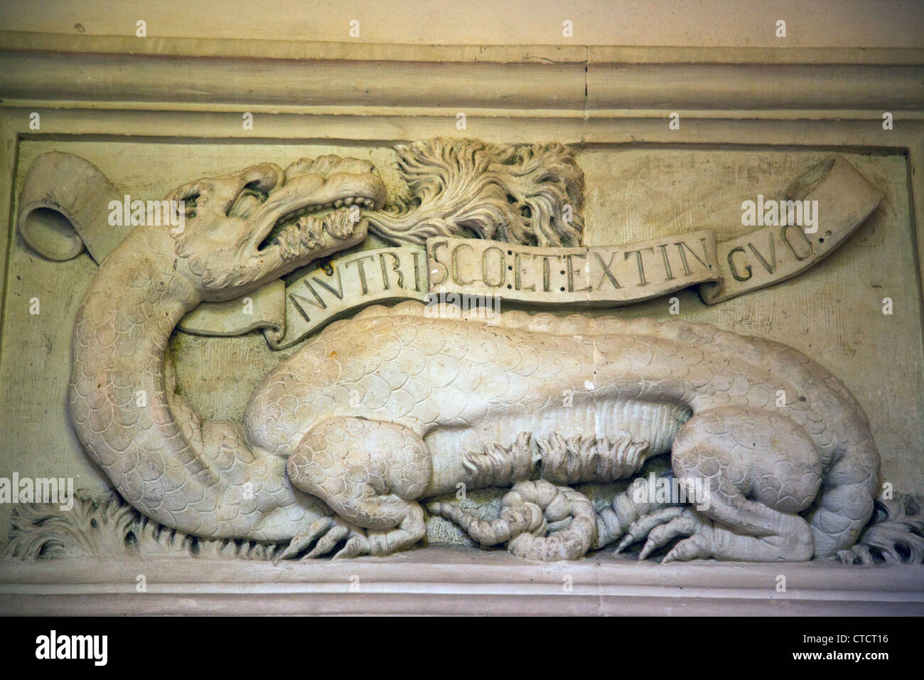 Symbole sur le mur de château d'Azay-le-Rideau, dans la vallée de la Loire de France. Banque D'Images