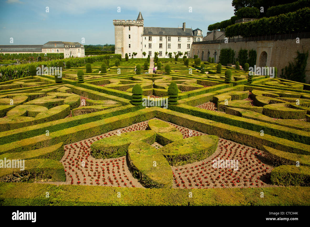 Les jardins de Villandry Chateau dans la vallée de la Loire de France. Banque D'Images Les jardins de Villandry Chateau dans la vallée de la Loire de France. Banque D'Images