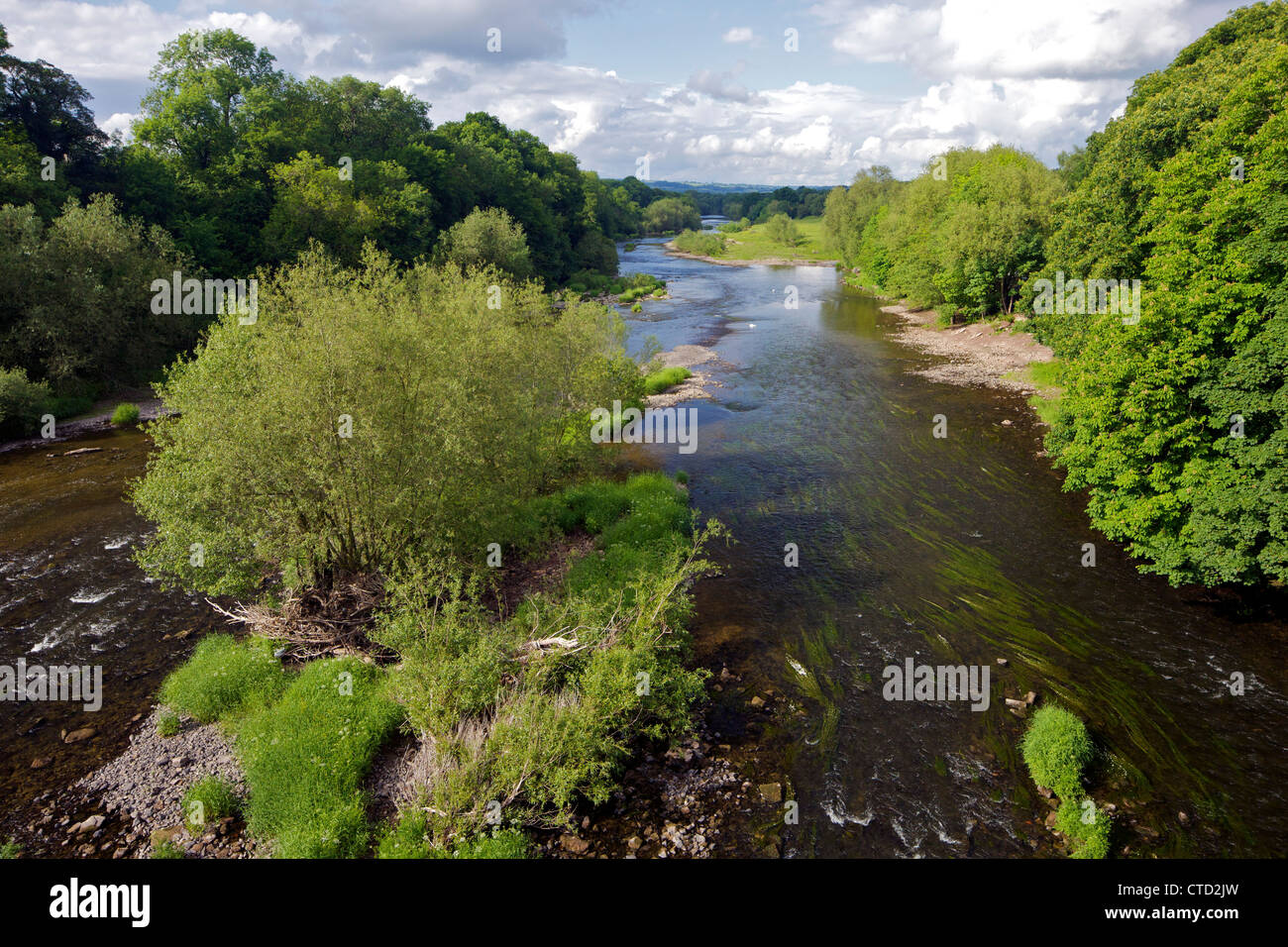 Rivière Wye en début d'été à Hay-on-Wye, Powys, Cymru, Pays de Galles, Royaume-Uni, Royaume-Uni, GO, Grande-Bretagne, British Isles, Europe Banque D'Images