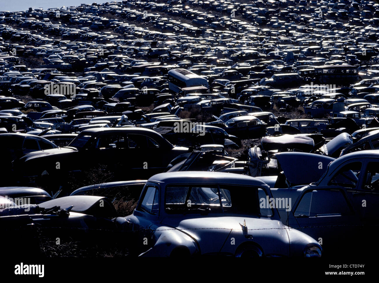 Le soleil couchant silhouettes les voitures et les bus des années 1950 et l'histoire qui remplissent une vaste s'étend sur une colline à ferrailles près de Reno, Nevada, USA. Banque D'Images